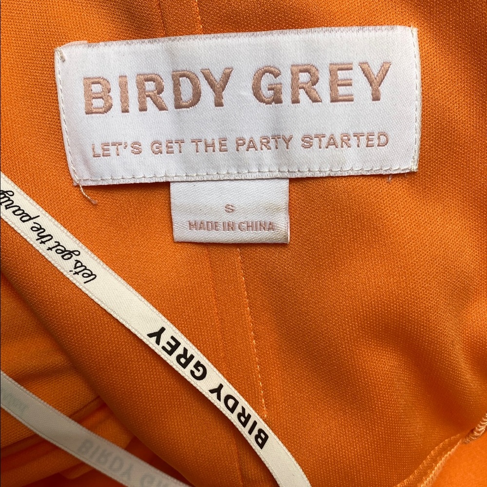 Birdy Grey chiffon orange  Sleeveless Dress - Picture 6 of 6